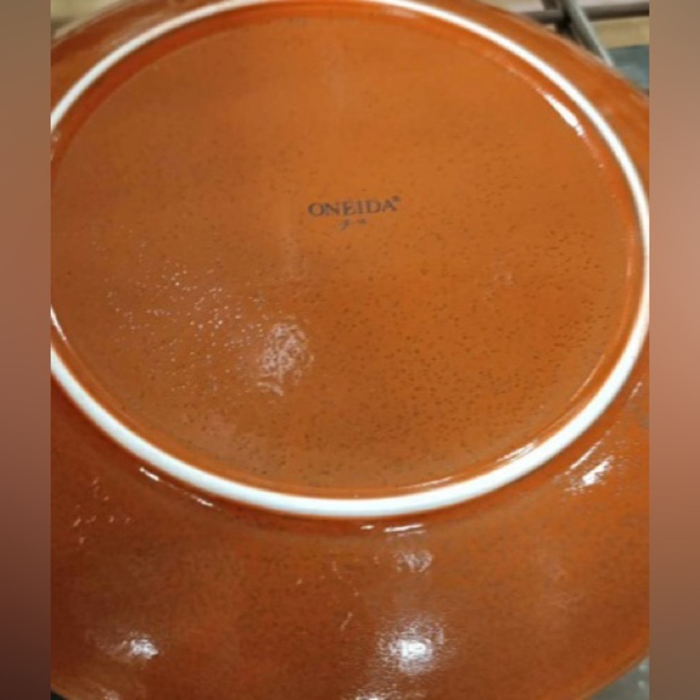 Oneida Hospitality Terra Verde Cotta 11.5" Porcelain Dinner Plate - 1 Doz